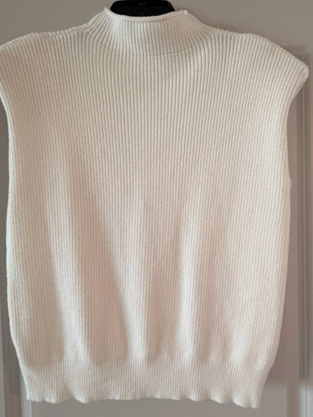 Cap Sleeve Sweater w/  High Neck